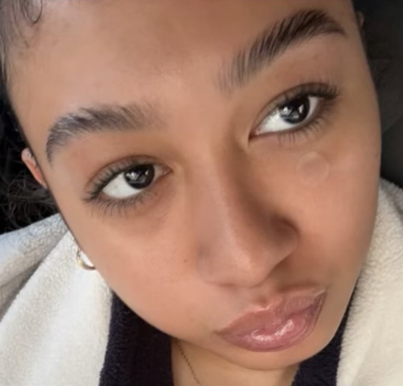 The Brow Lift Protocol (Lamination & Wax)